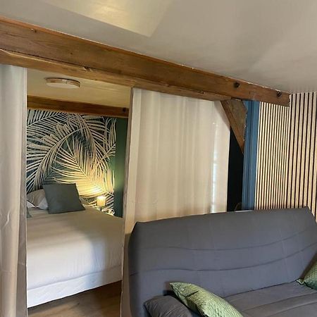 La Palme Bleue - 5 Mn Du Zooparc De Beauval Apartment Saint-Aignan  Ngoại thất bức ảnh