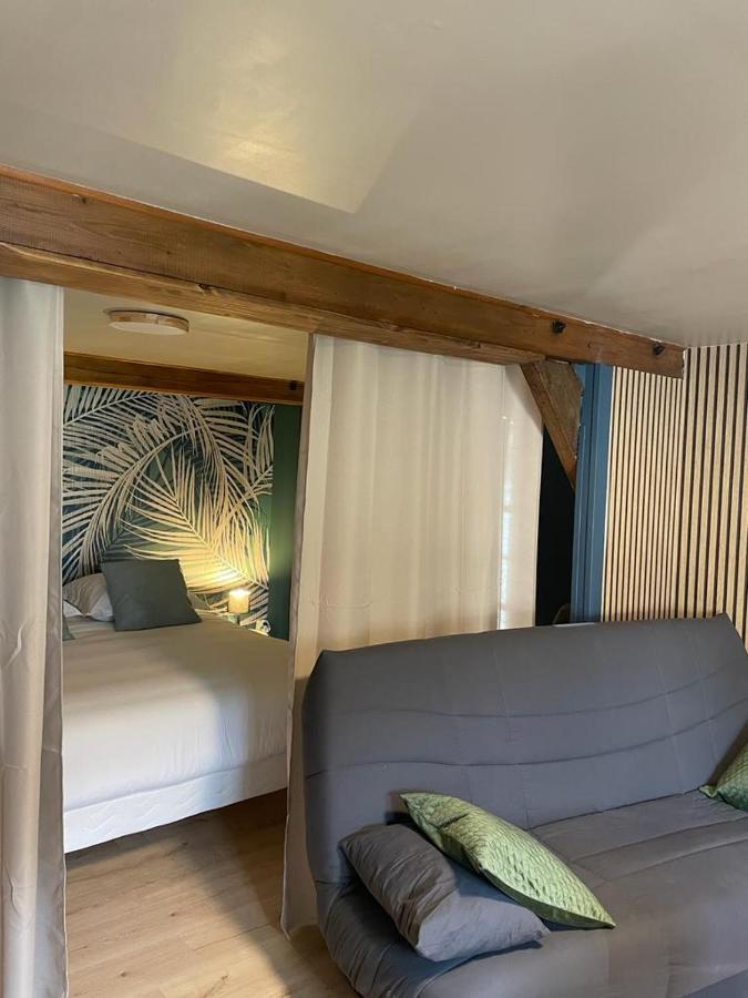 La Palme Bleue - 5 Mn Du Zooparc De Beauval Apartment Saint-Aignan  Ngoại thất bức ảnh