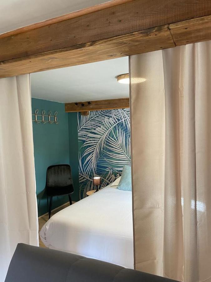 La Palme Bleue - 5 Mn Du Zooparc De Beauval Apartment Saint-Aignan  Ngoại thất bức ảnh