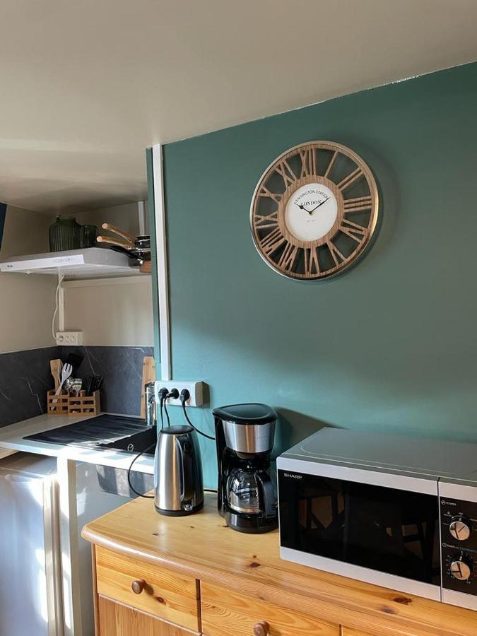 La Palme Bleue - 5 Mn Du Zooparc De Beauval Apartment Saint-Aignan  Ngoại thất bức ảnh